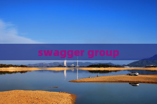 swagger group swagger group